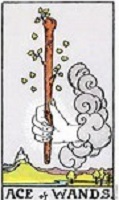 Ace of Wands Tarot Card